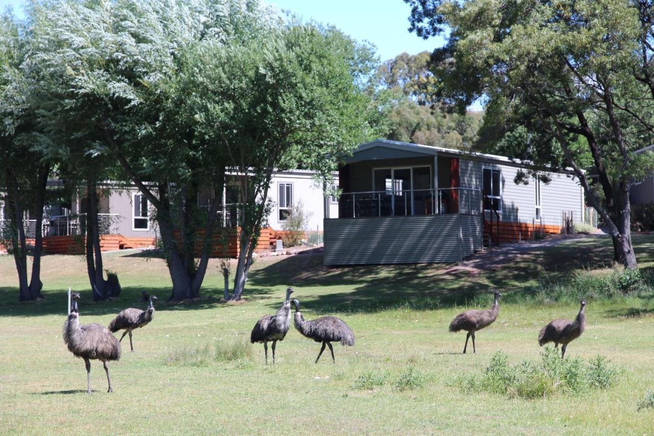 Halls Gap Lakeside Tourist Park Esterno foto