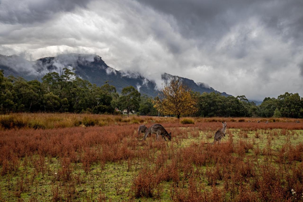 Halls Gap Lakeside Tourist Park Esterno foto
